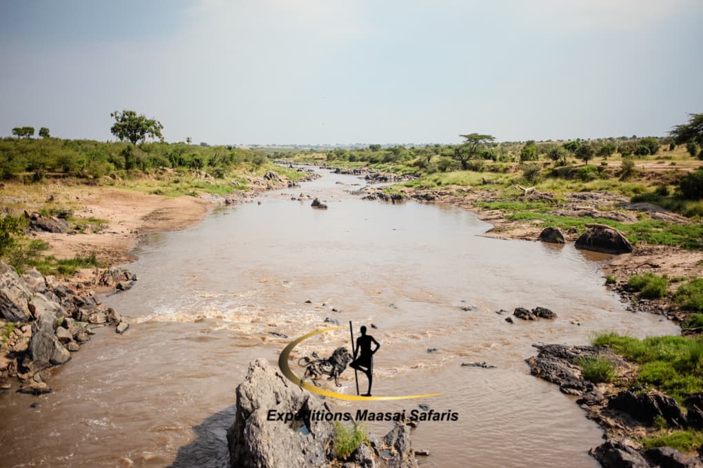 The Mara River