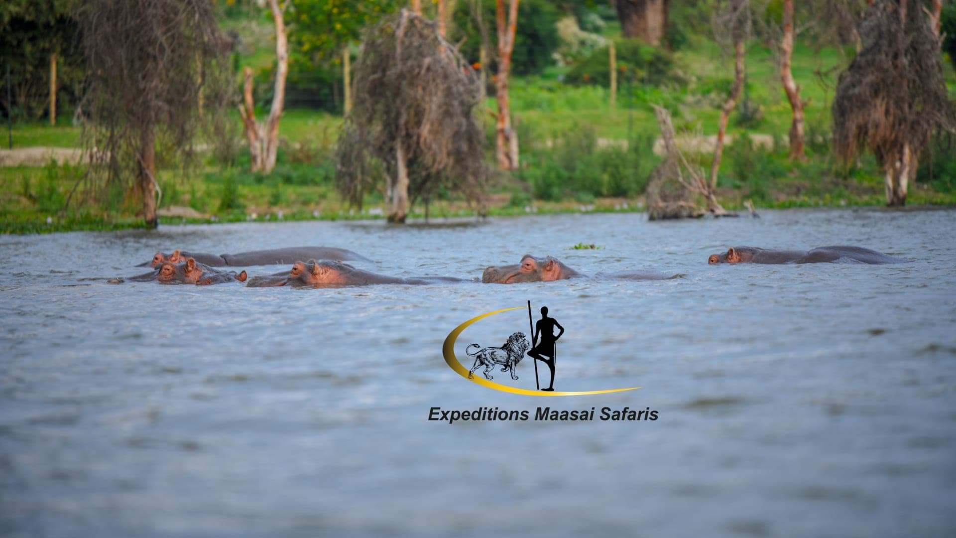 Naivasha Self Drive Getaway - Image