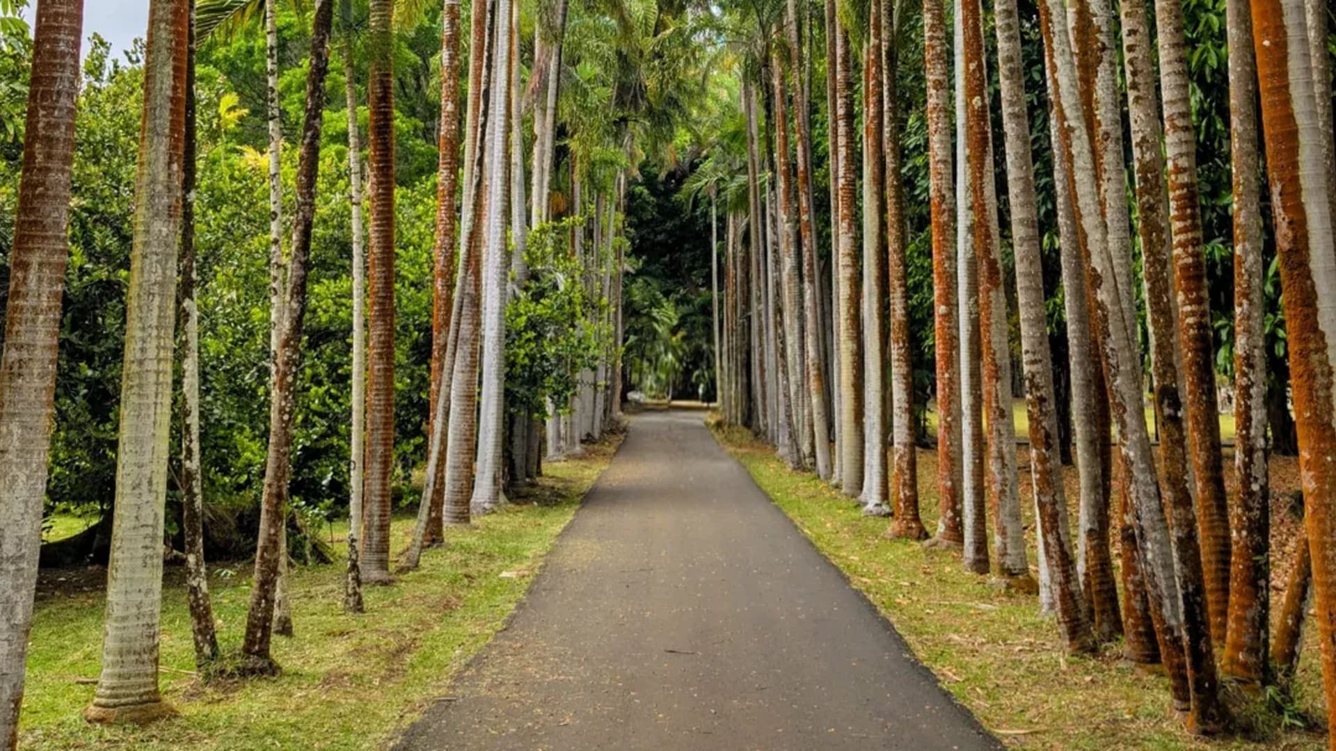 5-Day Mauritius Holiday Packages - Image