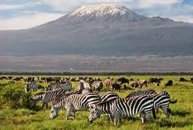 Amboseli National Park