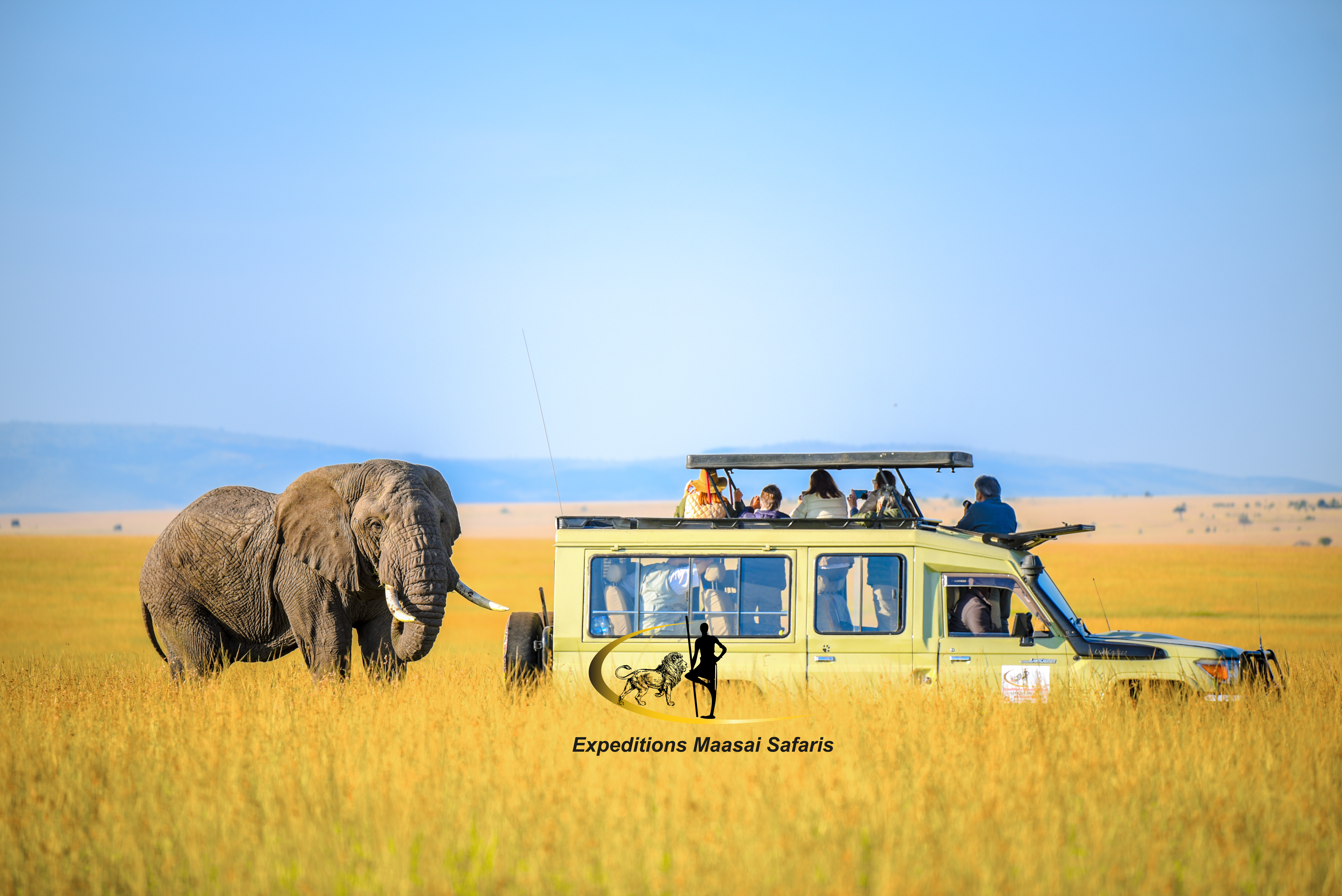 A group of tourists taking pictures of an elephant in the Mara