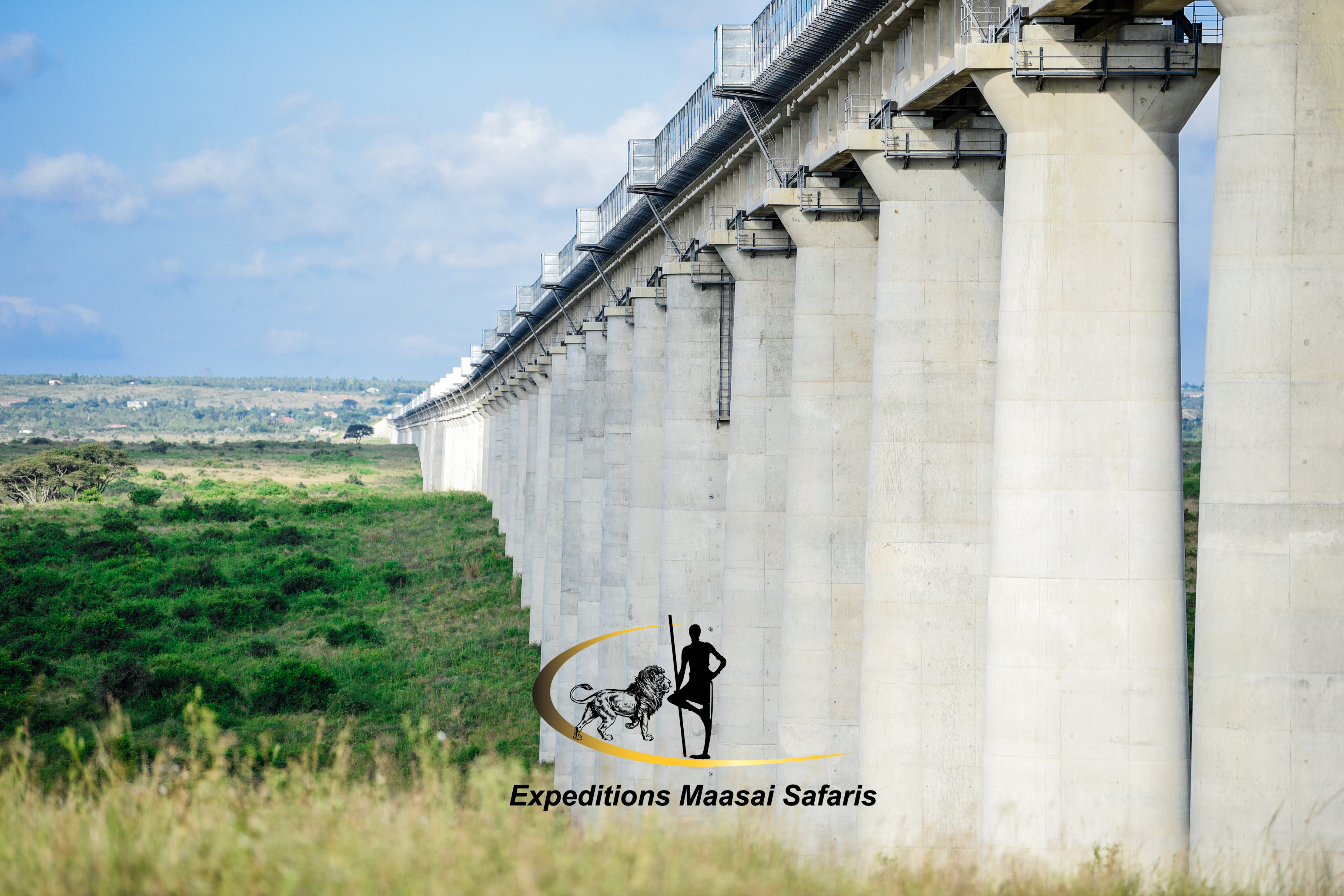 A section of SGR in Nairobi National Park