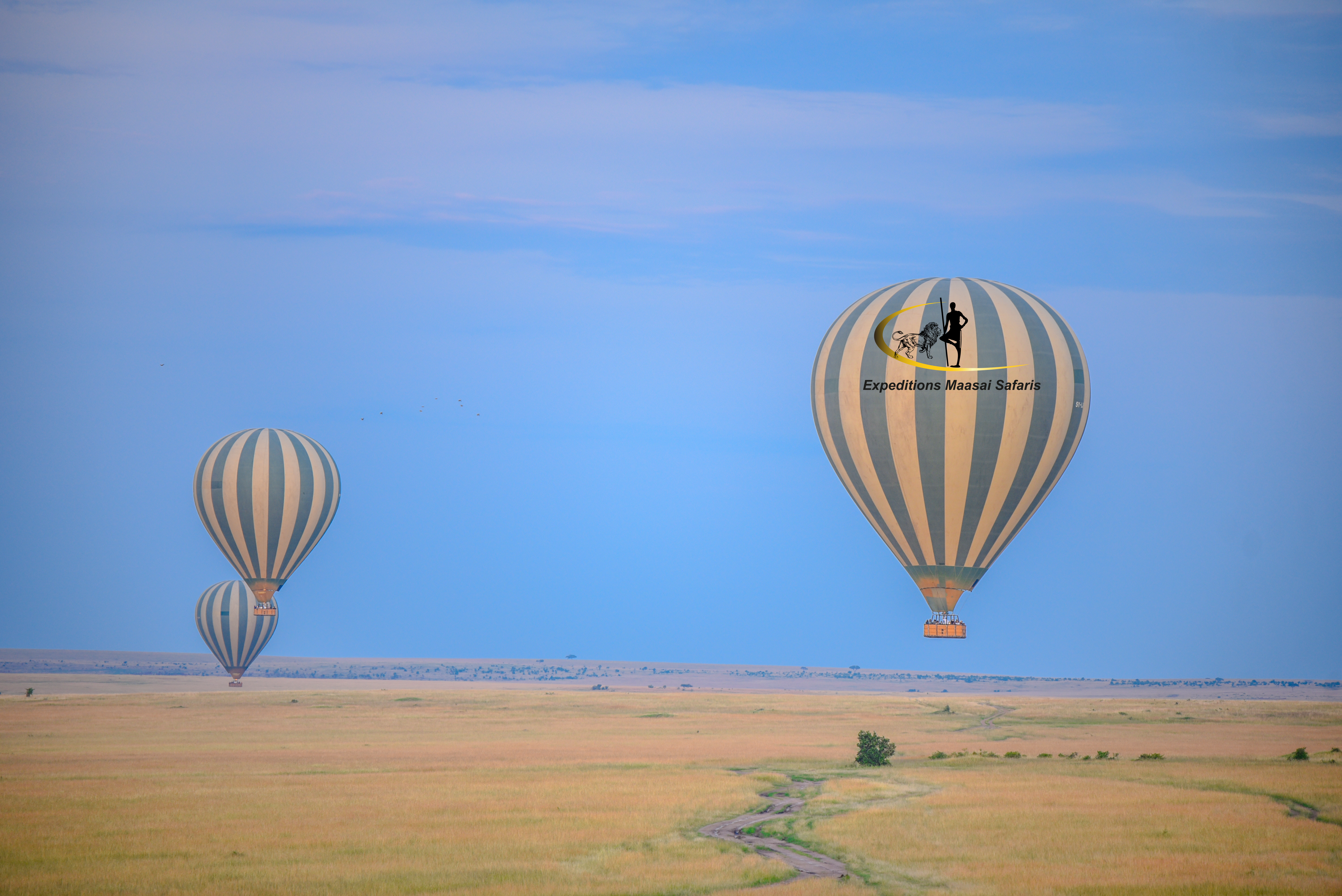 Hot air balloons hovering over the Mara
