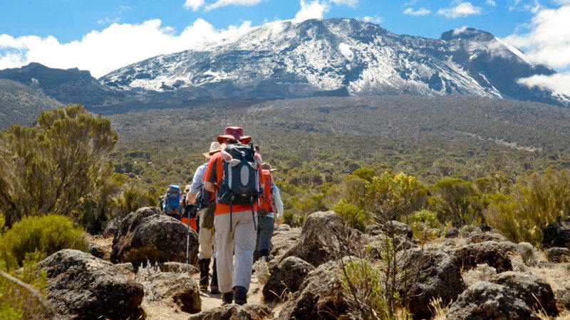 Climb Mount Kilimanjaro via Lemosho Route