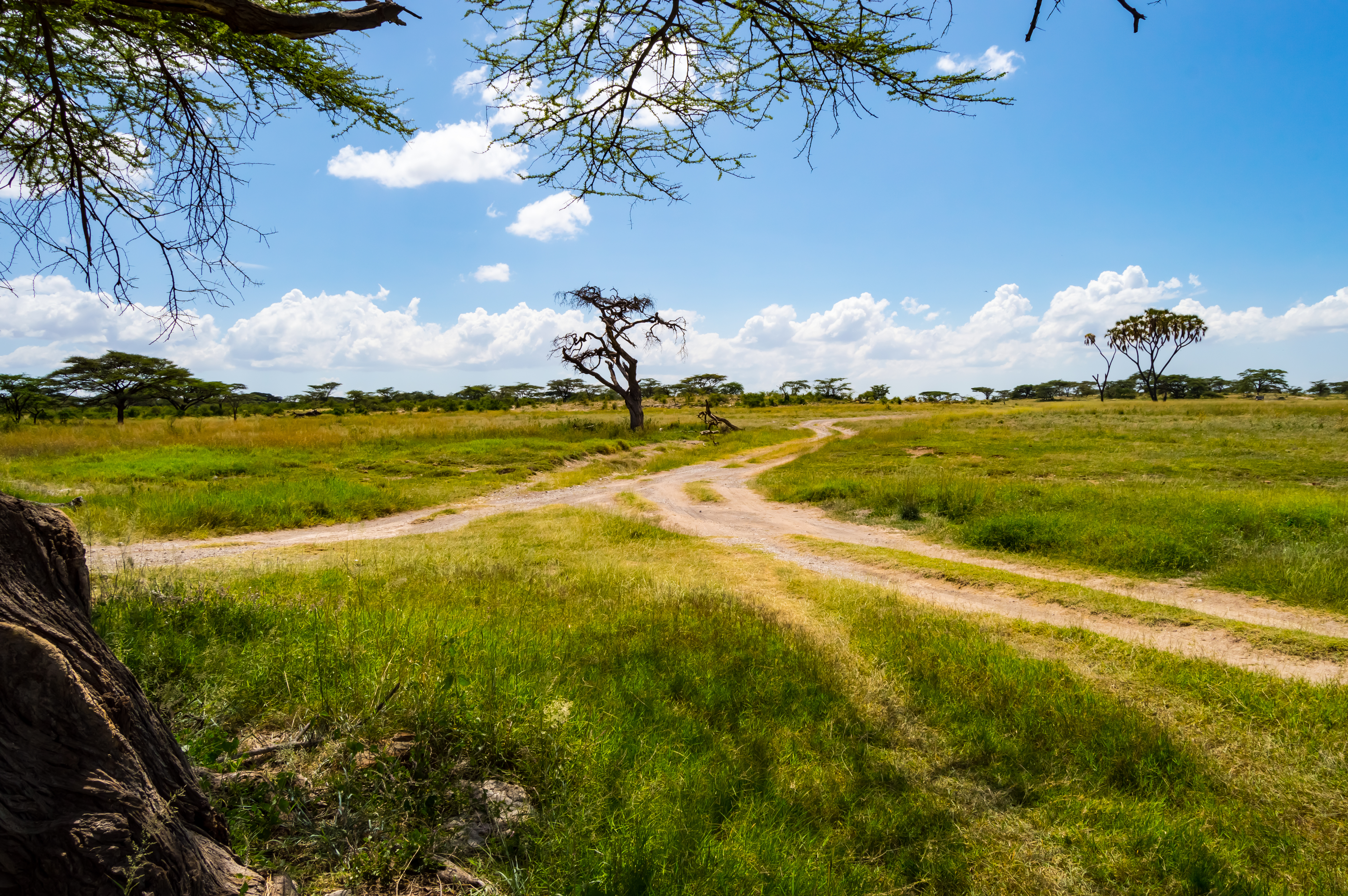 Samburu National Reserve